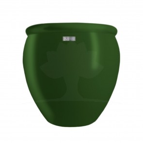 Vaso Boston