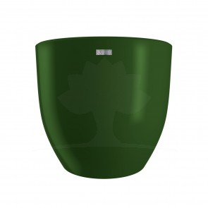 Vaso Dublin